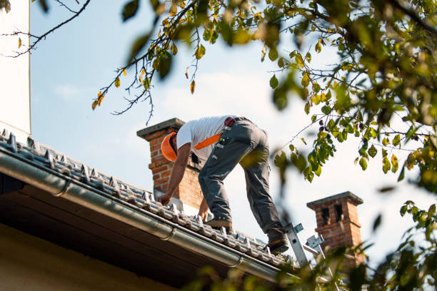 Best Roof Moss and Algae Removal  in Lakewood Park, TN